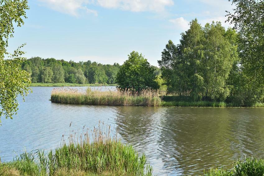 Piramida Park Hotel & Wellness Tychy Exterior foto